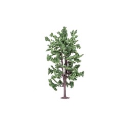 Lime Tree 18.5cm