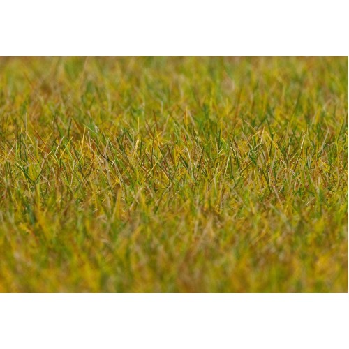 PREMIUM Ground cover fibres, Light green, 6 mm, 30 g
