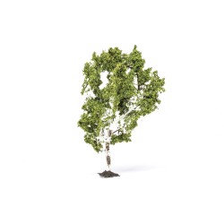 Birch Tree 11.5cm